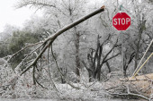 Ledena oluja paralisala jug SAD: Zbog nevremena stradalo osmoro ljudi, bez struje 370.000 domaćinstava (FOTO)