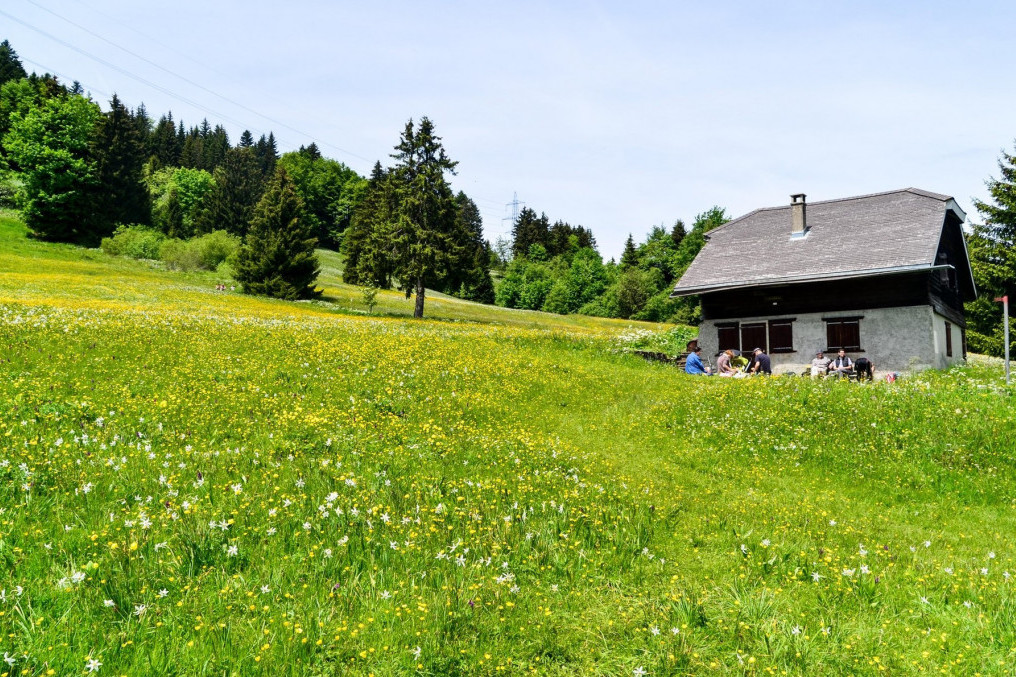 Vaša vikendica iz snova od 5.000 evra: Pogledajte gde možete kupiti!