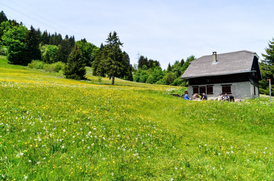 Nova zlatna groznica: Svi ulažu u vikendice, evo zašto se to isplati više nego stanovi!
