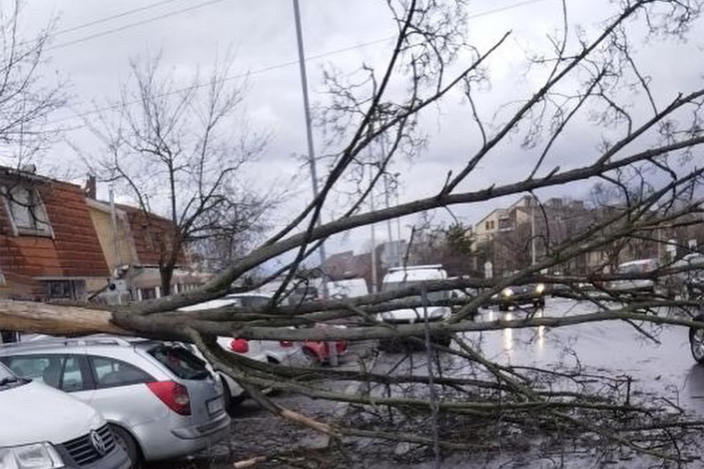 Oborena stabla izlupala automobile, izčupane bandere, zakrčene ulice: Olujni vetar napravio haos u Beogradu (FOTO)