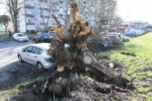 Snažno nevreme pogodilo Zagreb: Vatrogasci imali pune ruke posla, srušena stabla oštetila više automobila