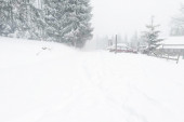 Sneg izazvao kolaps u saobraćaju: Zatvoreni putevi Kopaonik-Brzeće i Novi Pazar-Sjenica, AMSS apeluje na oprez