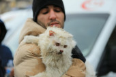 I mačka spasena iz ruševina tržnog centra  u Turskoj (FOTO)