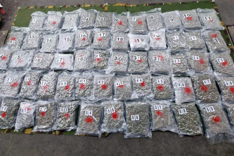 Velika zaplena narkotika u Kraljevu: Policija prilikom pretresa automobila pronašla 33 kilograma kanabisa