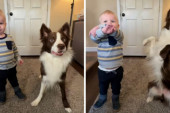 Ko bolje sluša mamu? Urnebesan snimak na kom dečak i pas izvršavaju naredbe postao viralan (VIDEO)