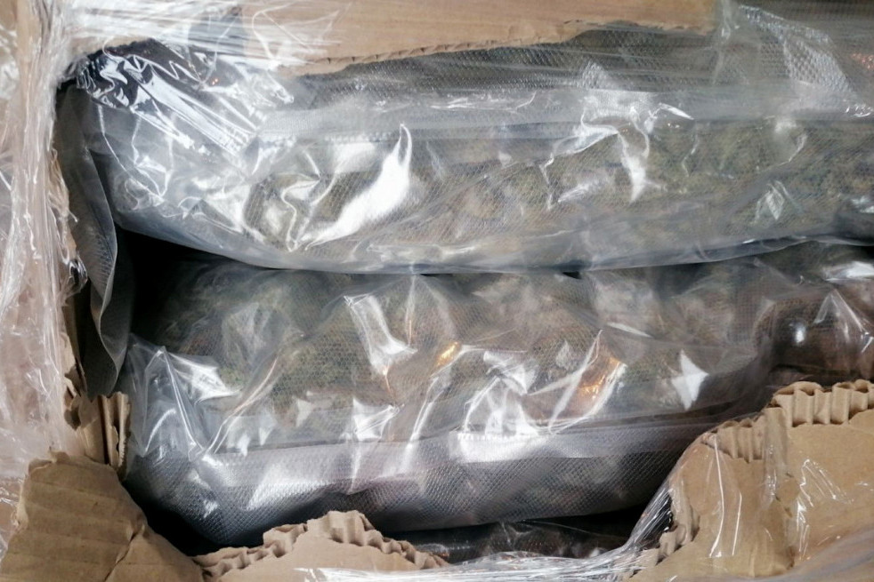Zaplenjena marihuana u Novom Sadu, uhapšeni osumnjičeni: Kod sebe imali i dve lažne vozačke dozvole