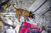 Stradao pas koji je izvukao dve osobe iz ruševina u Turskoj: Spasioci se od njega oprostili na dirljiv način (VIDEO)
