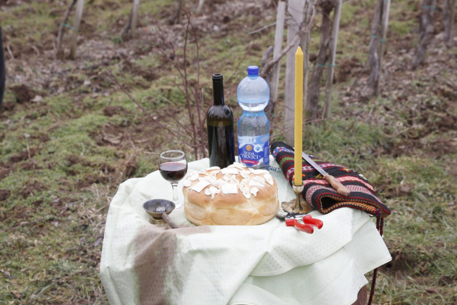 Zašto se 14. februara seče loza i zaliva vinom? Ovako se u Srbiji slavi Sveti Trifun