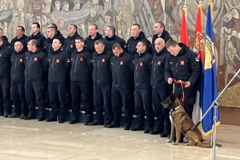 Zigi uskoro ide u zasluženu penziju: Evo gde će ovaj pas tragač provoditi stare dane!