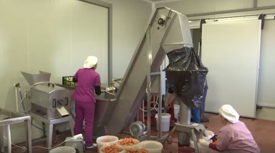 Proizvodni kompleks manastira Gračanica ima 27 zaposlenih: Tu su pogoni za proizvodnju stočne hrane, preradu mleka i mesa