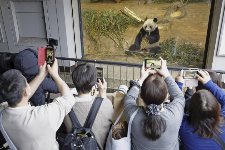 Japanci se u suzama rastaju od džinovske pande Sjang Sjang: U utorak će biti vraćena Kini (FOTO)