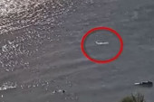 Horor na prepunoj plaži: Ajkula izgrizla surfera, zavladala panika  - odmah dignuti dronovi (VIDEO)