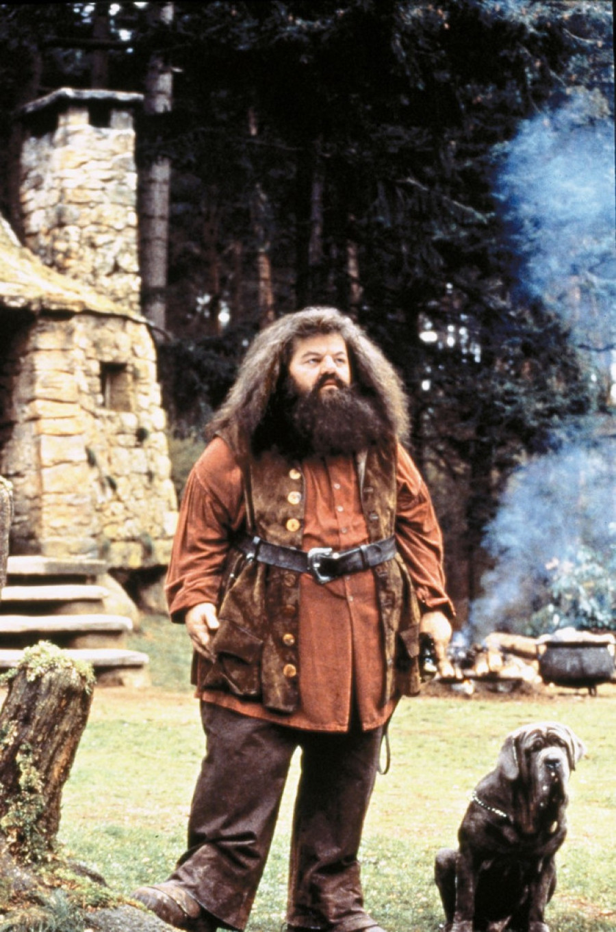 Verni prijatelji koji su nam osvojili srca: Čuveni psi u knjigama i filmovima (FOTO)