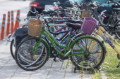 U Novom Sadu od 2012. godine izgrađeno 55 kilometara biciklističkih staza: Gradonačelnik najavio nastavak subvencionisanja