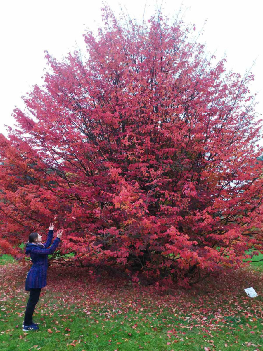 4 trika kako da putujete sa malo para: "Svetska putnica" nam otkriva kako kupuje avionsku kartu za 10 evra i plaća jeftin smeštaj