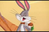 Šefe, koji ti je vrag? Da li zečevi zaista vole šargarepu i koliko je ona dobra za njih?