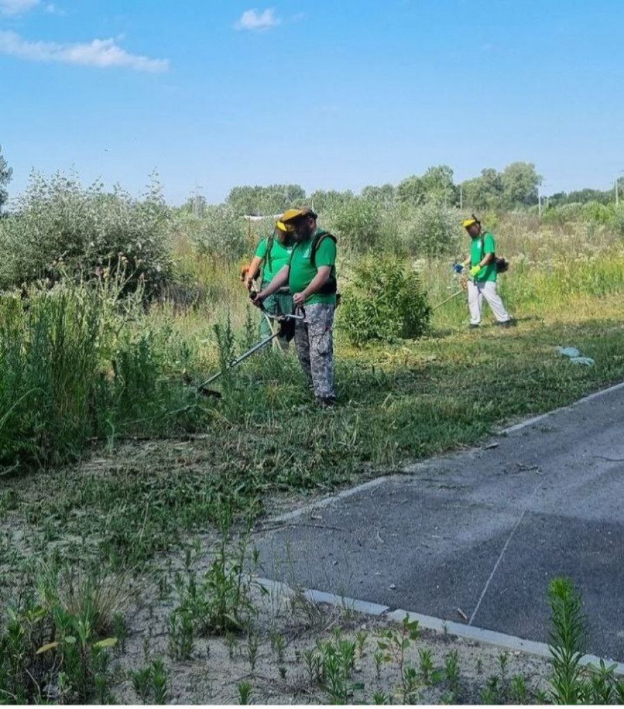 Evo zašto Srpska Atina zaslužuje još jednu laskavu titulu: Novi cilj Grada Zelena prestonica Evrope (FOTO)