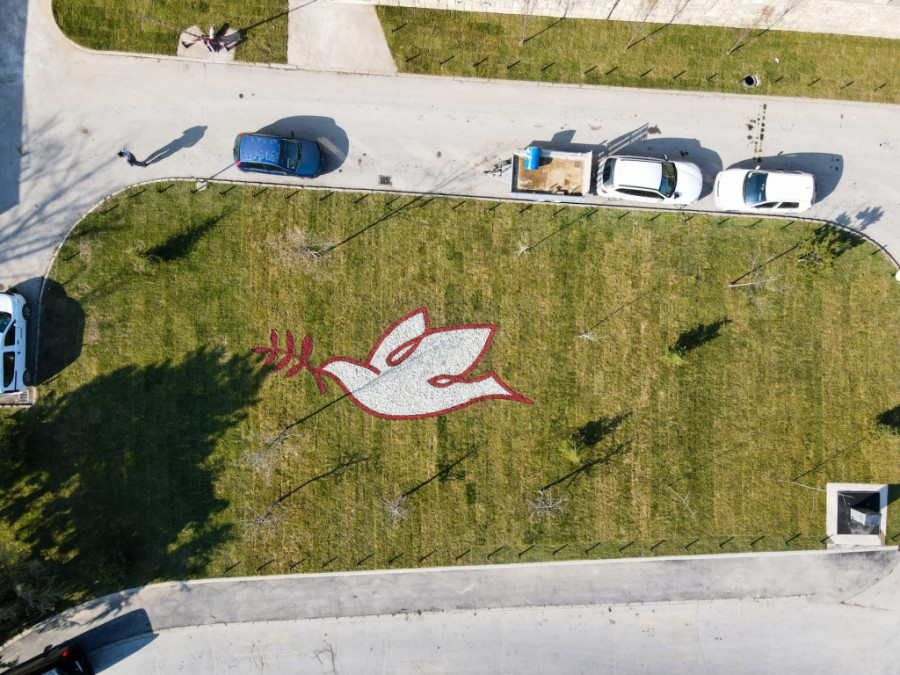 Evo zašto Srpska Atina zaslužuje još jednu laskavu titulu: Novi cilj Grada Zelena prestonica Evrope (FOTO)