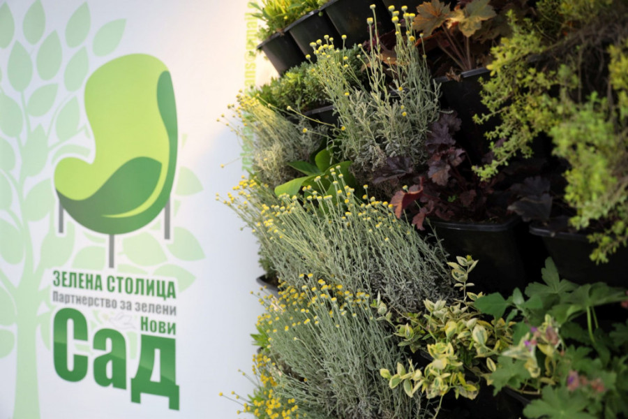 Evo zašto Srpska Atina zaslužuje još jednu laskavu titulu: Novi cilj Grada Zelena prestonica Evrope (FOTO)