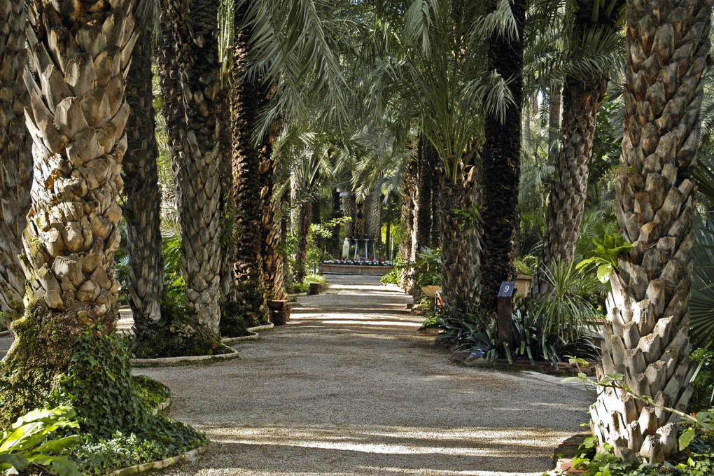 Grad koji ima više palmi nego ljudi! Ova oaza zelenila je svojevrsni muzej na otvorenom