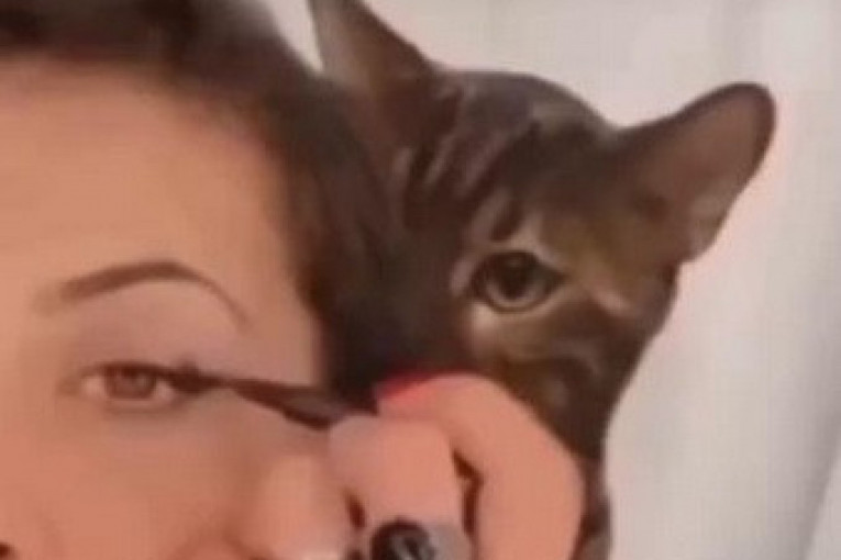 Urnebesna reakcija mačke koja gleda vlasnicu kako se šminka: Video ima 40 miliona pregleda