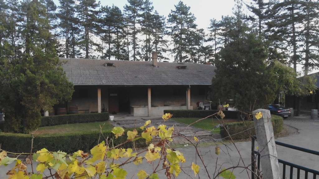 Srbija nije samo zemlja šljive i rakije: Srpskim vinom bili su oduševljeni svi kraljevi prijatelji iz inostranstva (FOTO)