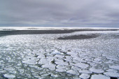 Svako bi trebalo da bude zabrinut zbog onoga što se događa na Antarktiku: Led rekordno nestaje