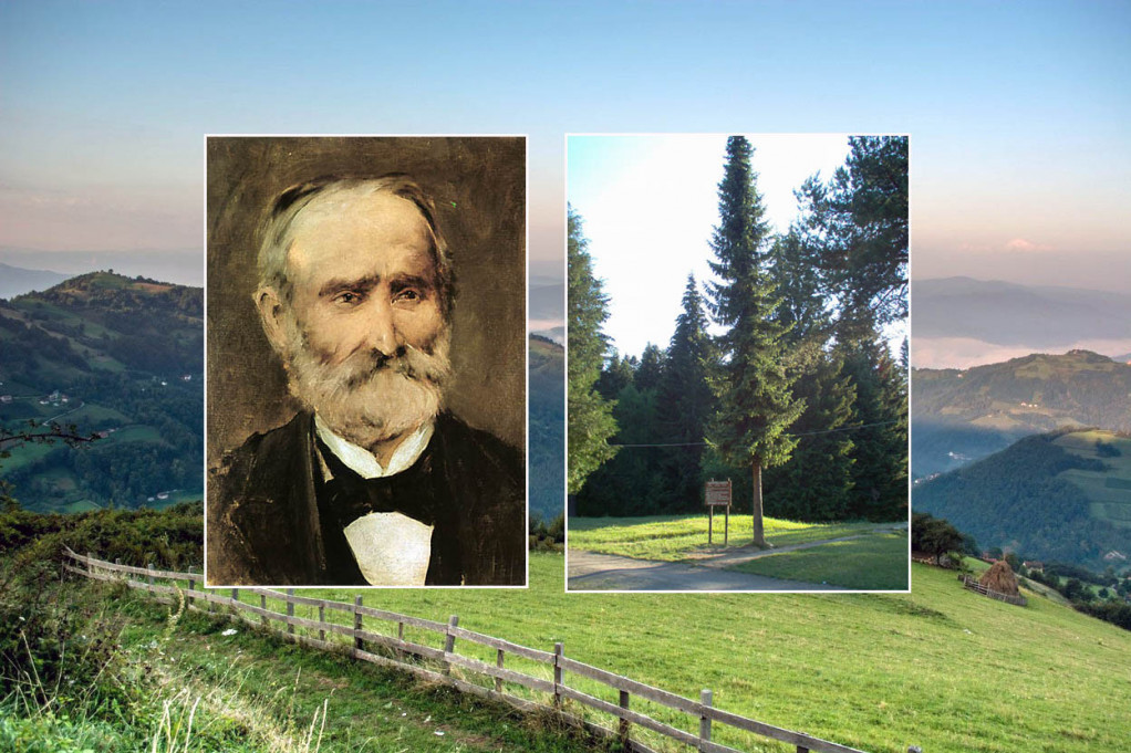 Na današnji dan preminuo je čuveni srpski botaničar: Otkrio je novu vrstu četinara, a po njemu je nazvan i jedan planinski vrh!