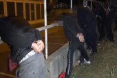 Srpska policija imala pune ruke posla! Četvorica "pala" zbog krijumčarenja migranata kod Subotice