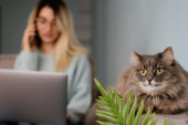 Radnice meseca: Malo šetaju, malo sede, malo kuckaju mejlove - ove dve mačke apsolutno sve rade da otežaju svojoj vlasnici posao (VIDEO)