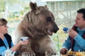 Par udomio medveda od 450 kilograma: Zajedno jedu, piju čaj, sede na kauču i gledaju TV (VIDEO)
