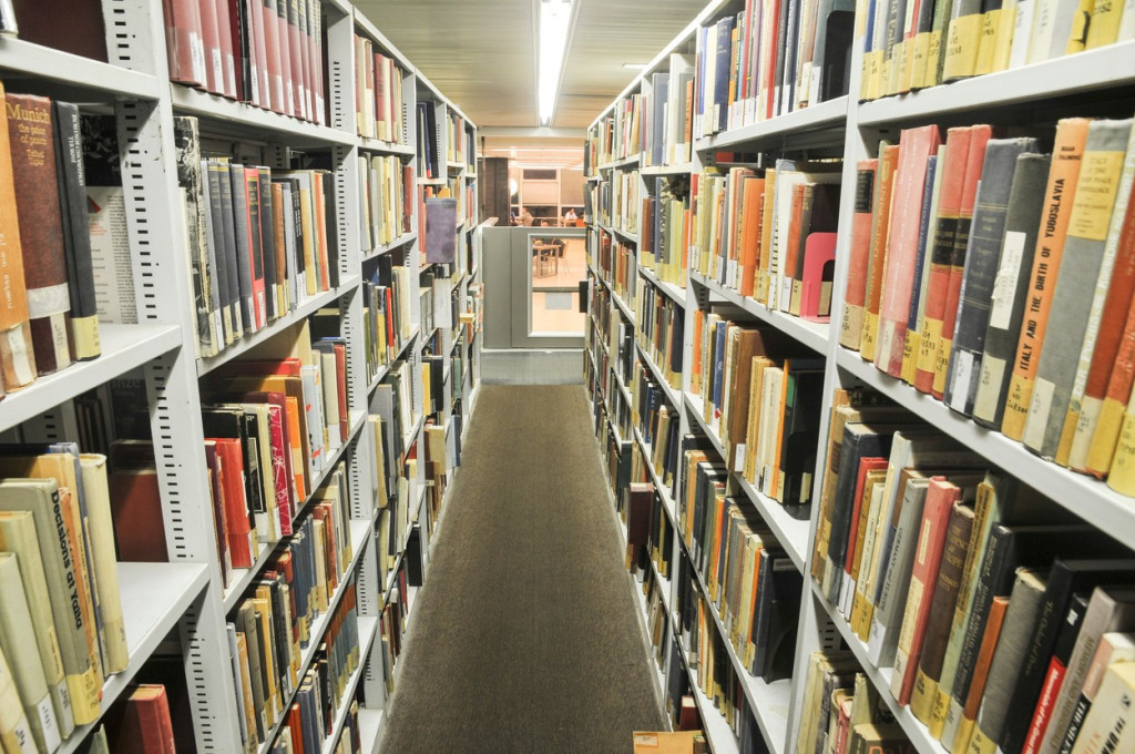 Nikola Selaković saopštio važnu vest za biblioteke: Ministarstvo podržalo obustavu naplate za izdavanje knjiga