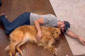 Pas koji ne voli maženje: Njegove reakcije kada mu se vlasnik približi su urnebesne (VIDEO)