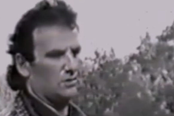 "Audi" u cik-cak: Žena vozač prava manekenka vinjaka