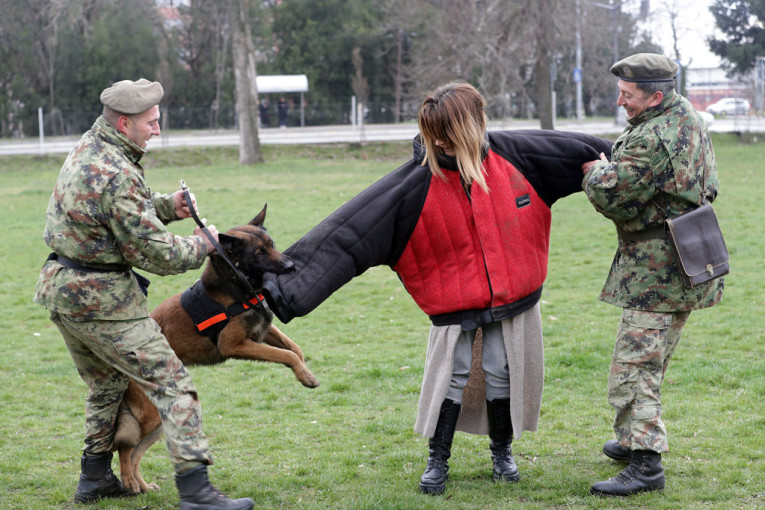 Novinarka 24sedam na "bojnom polju" sa vojničkim psom (VIDEO)