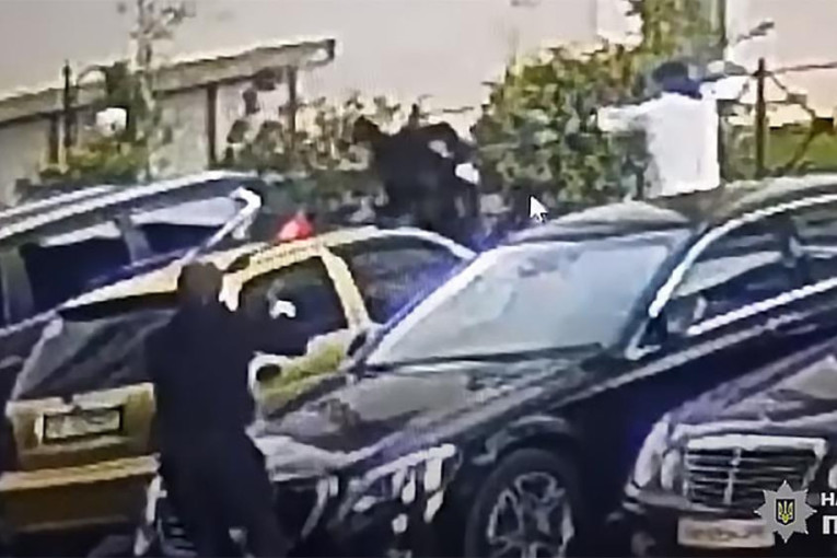 Krivična prijava protiv Tamare Zvicer: Prva dama "kavačkog klana" osumnjičena za nelegalne radove u Kotoru