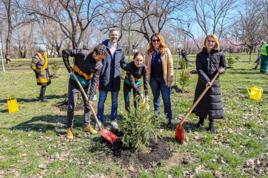 Velika akcija uređenja zelenih površina u Batajnici