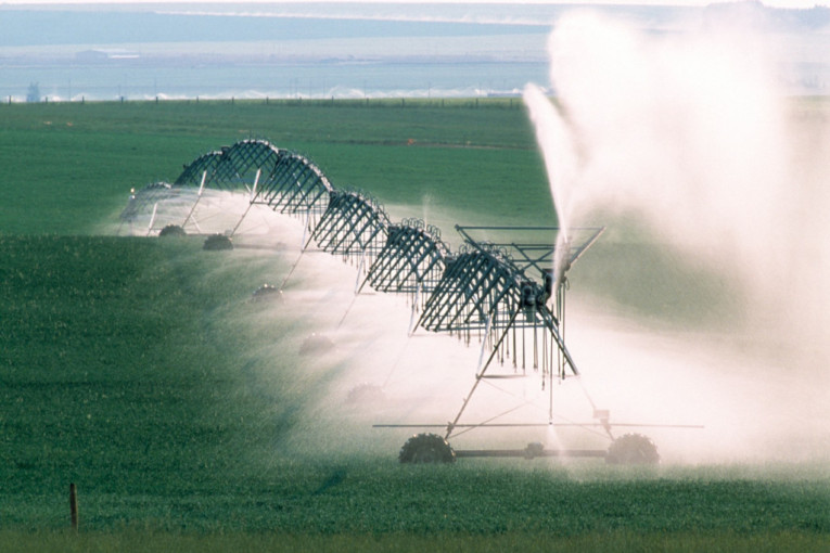 Cene poljoprivredne proizvodnje porasle, ali troškovi opadaju!
