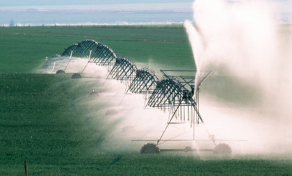 Deli se 480 miliona: Evo ko sigurno dobija novac