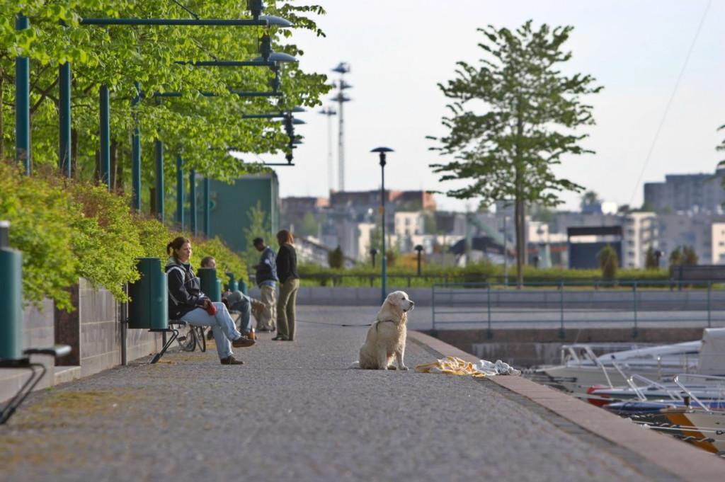Finsku stalno proglašavaju najsrećnijom zemljom na svetu, ali evo šta o tome misle sami Finci