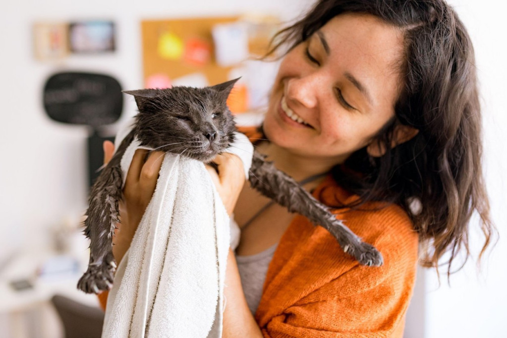 Vlasnici mačaka često imaju ovu dilemu: Treba li mačke kupati i koliko često?