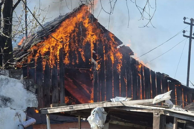 Požar u Novom Sadu: Vatrena stihija guta baraku, vatrogasci na terenu (FOTO/VIDEO)