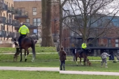 Pas u parku napao policijske konje: Vlasnik sve nepomično posmatrao dok su policajci u očaju vikali! (VIDEO)