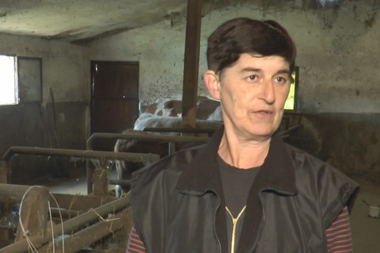 Miladin iz Pranjana uzgaja svinje godinama: "Ide kao alva, niko ne pita za cenu"