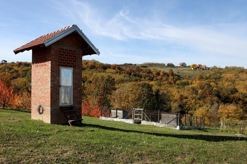 Goran i Sanela se iz Kanade vratili u selo kod Kragujevca: Nema više briga, došli smo da obnovimo dedovinu i gajimo ovce