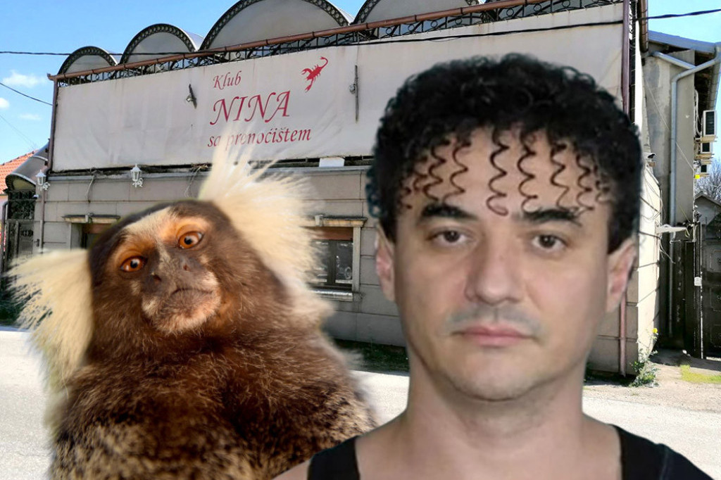 "Prva frizura Srbije" ovog meseca pred tužiocem zbog majmuna kog je nelegalno držao u svom pet-šopu!