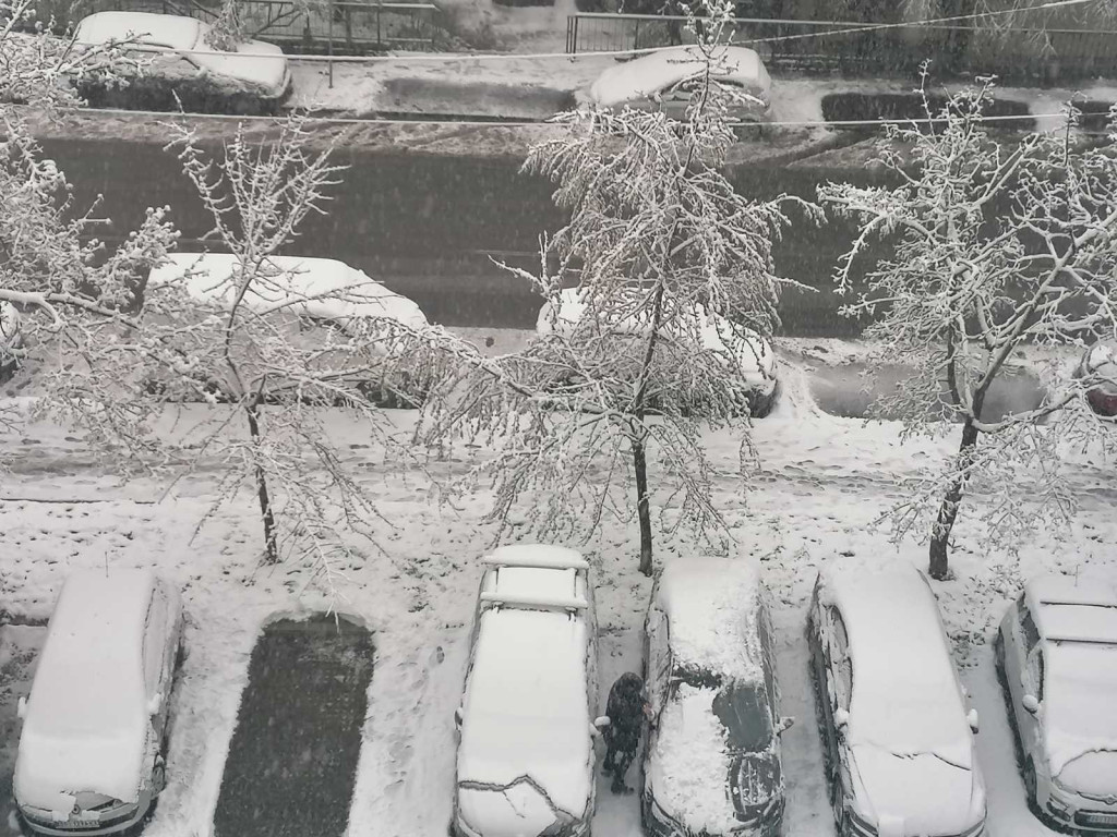 Srbija zavejana u aprilu: Ako ste i bili neverne Tome od jutros više niste - snežni pokrivač od 20 centimetara i u Beogradu (FOTO/VIDEO)