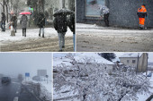 Sneg u Srbiji: RHMZ - padavine prestaju u sredu, u Beogradu drveće pada, oglasili se Putevi Srbije i AMSS (FOTO)