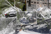 Beograđani nespremno dočekali sneg u aprilu! Padavine obarale drveća, a na desetine automobila je urnisano: Kako naplatiti štetu?