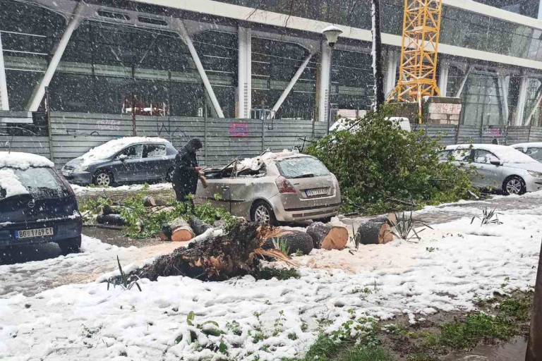 Kolaps u Beogradu: Sneg obara drveće na svakom koraku - ulice blokirane, automobili oštećeni! Dve devojčice povređene na Miljakovcu (FOTO)